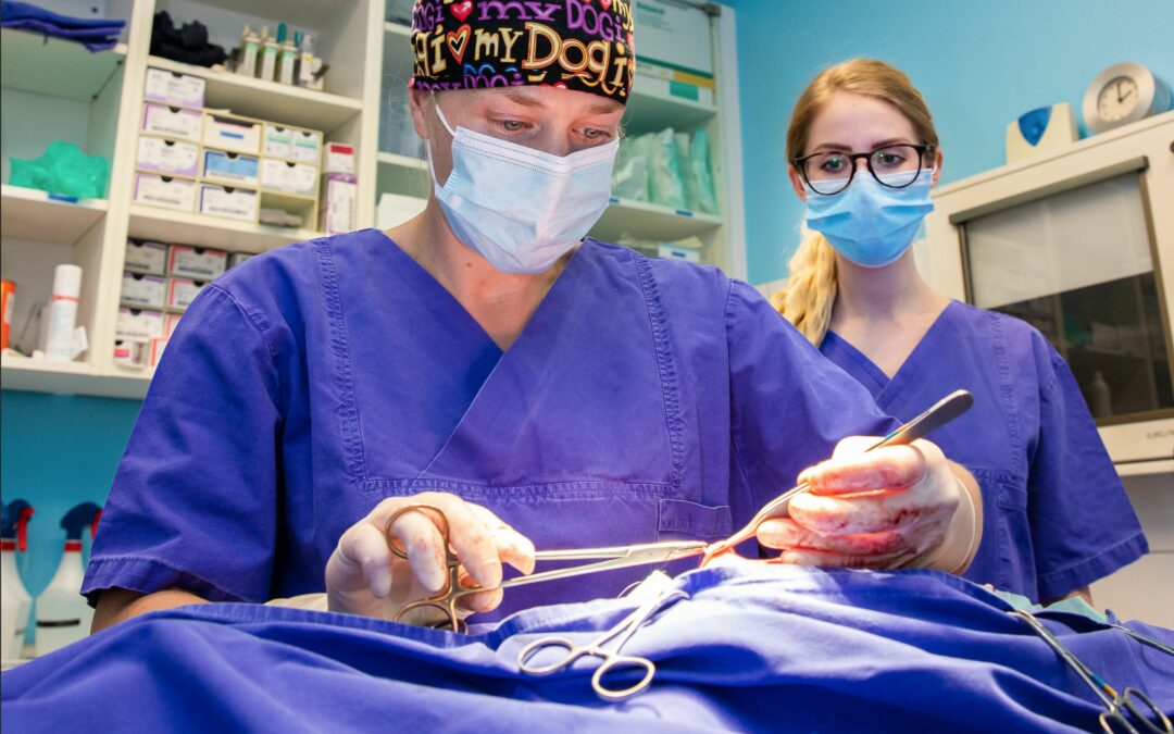 Chirurgie
